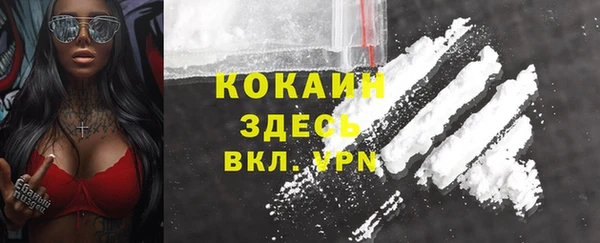 apvp Магас