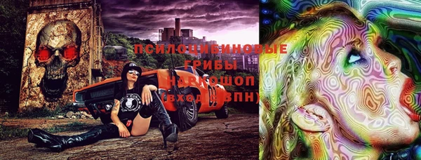 apvp Магас