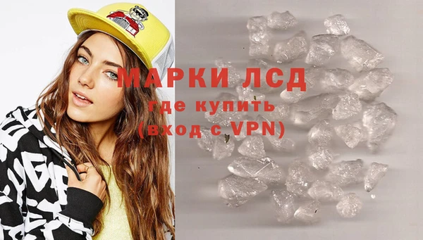 apvp Магас