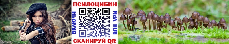 Галлюциногенные грибы Magic Shrooms  Невельск 